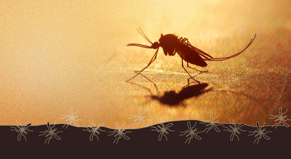 Malaria