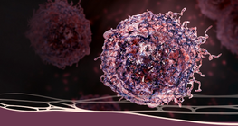 A rettegett diagnózis: rák