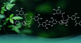 Hogyan alakult ki a szerves kémia?