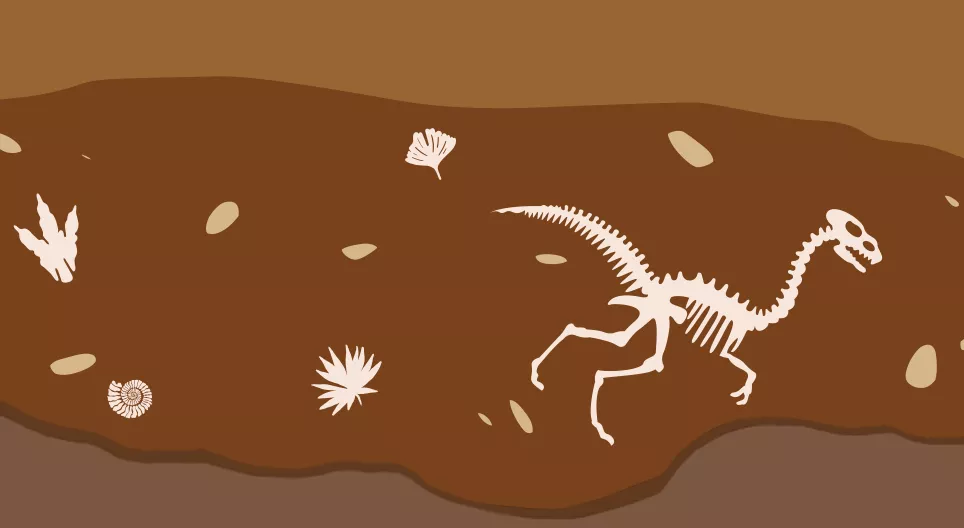 How did life develop on Earth?