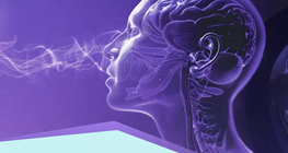 Szenzorok és receptorok