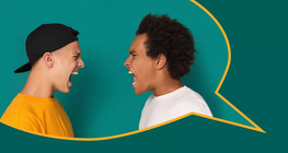 Conflict management in practice