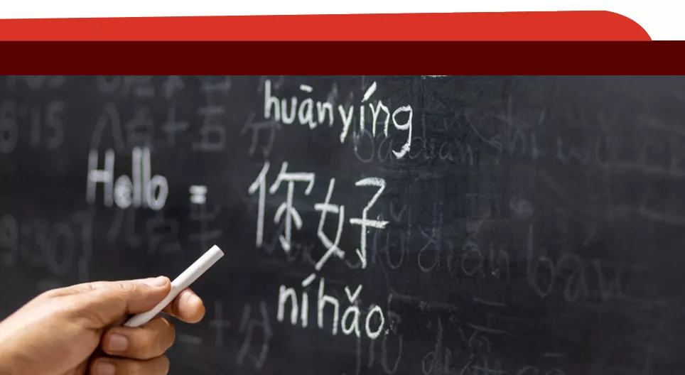 Distinguishing Chinese Vowels and Consonants