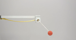 Relationship between circular motion and simple harmonic motion