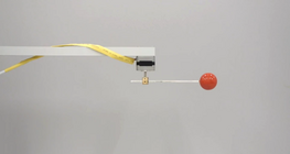 Phép chiếu của chuyển động tròn