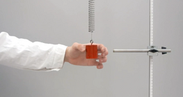 The motion of an object on a spring