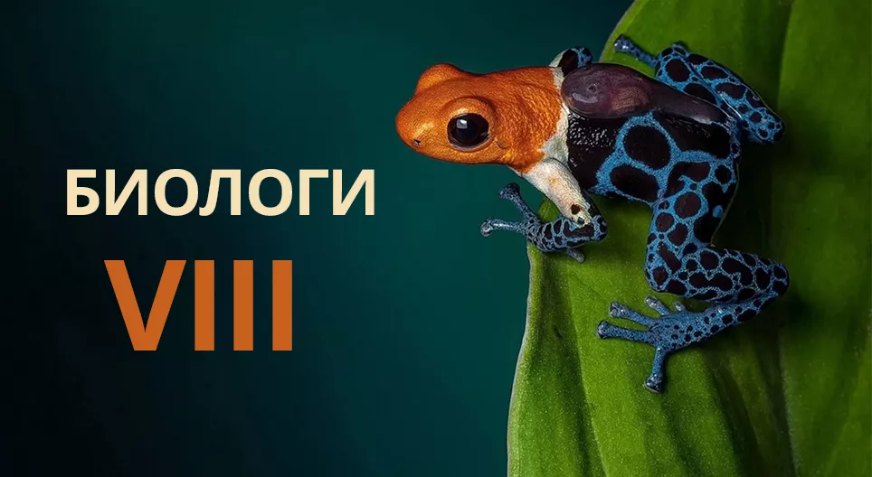 БАЙГАЛИЙН ШАЛГАРАЛ БА ДАРВИНЫ ОНОЛ