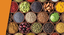 Tausend Aromen auf der Zunge?