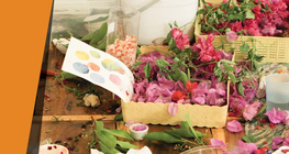 Festés növényekkel