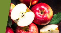 Barnulás árnyékban