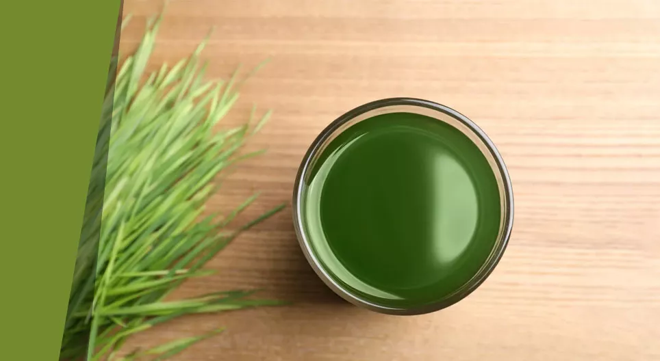 The secrets of grass soup