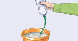 Palackpréselés vízzel