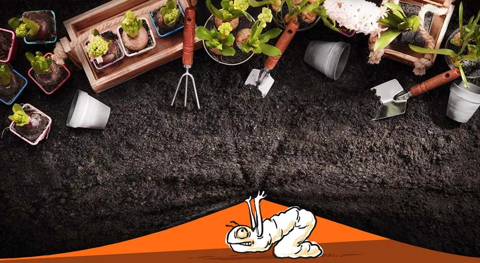 Hoe verandert het leven in de tuin?