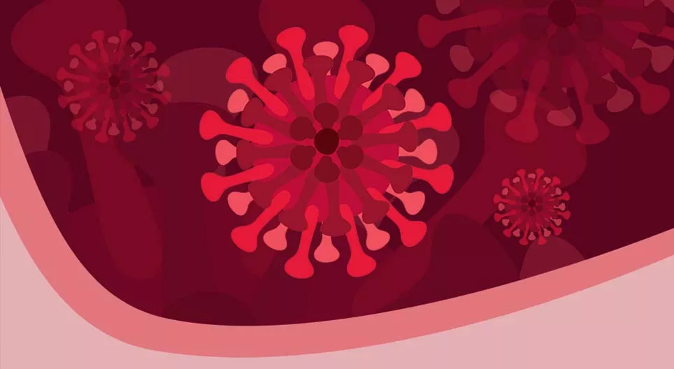 Ting du bør vite om koronavirus og COVID-19