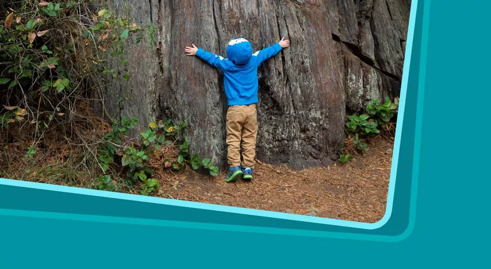 Vis hvor vakker naturen kan være