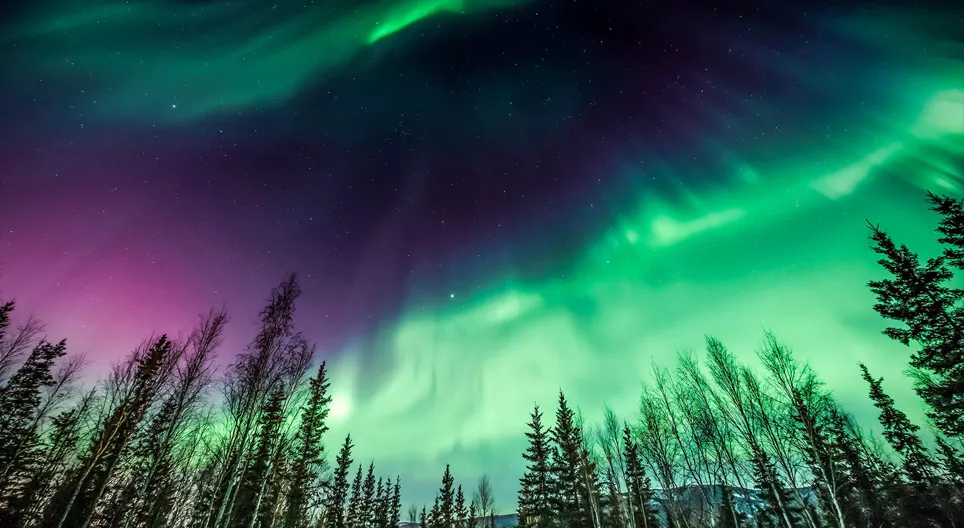 La oss sjekke ut Nordlyset!