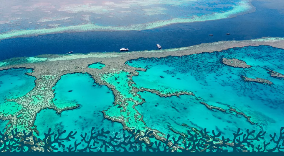The Great Barrier Reef