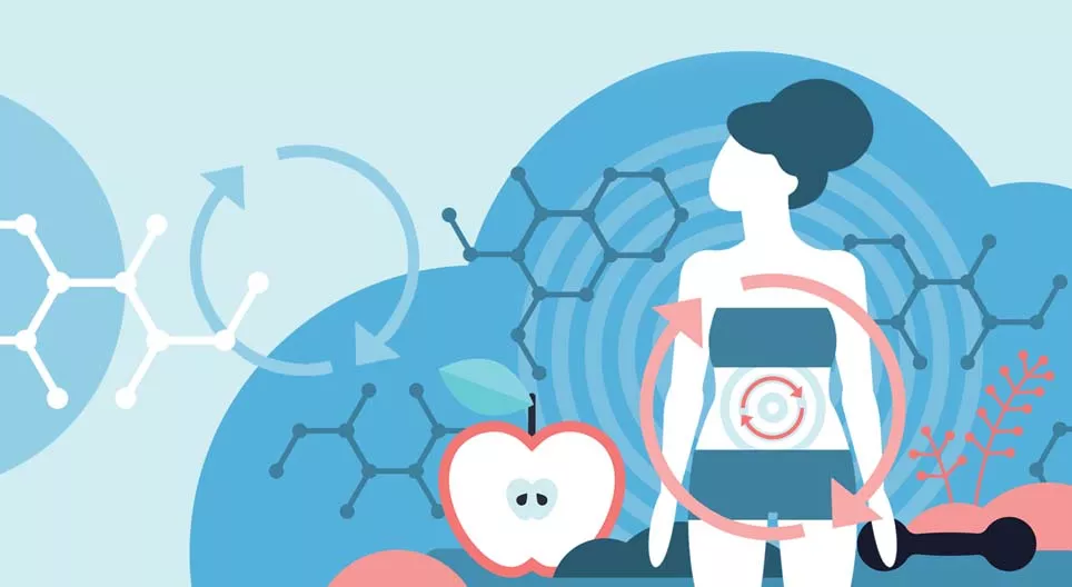 O que é o metabolismo?