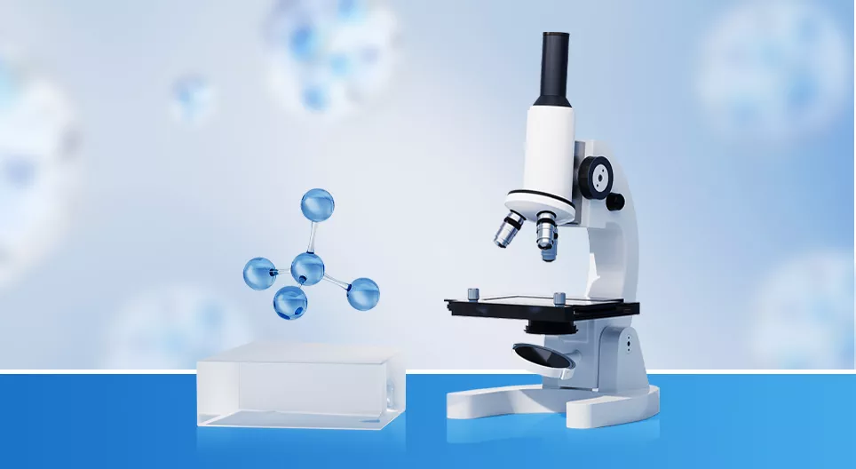 Como se usam os microscópios?