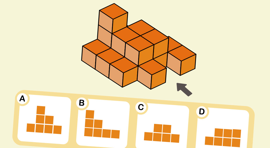 Какой из видов правильный?