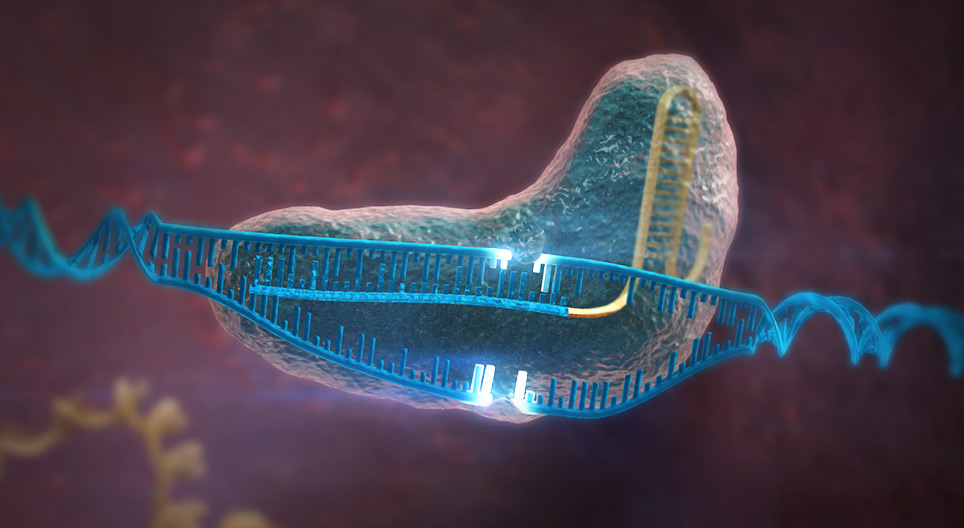 Редактирование генома