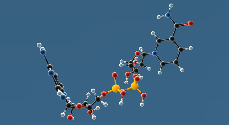 НАД, НАДФ, НАДФ*Н