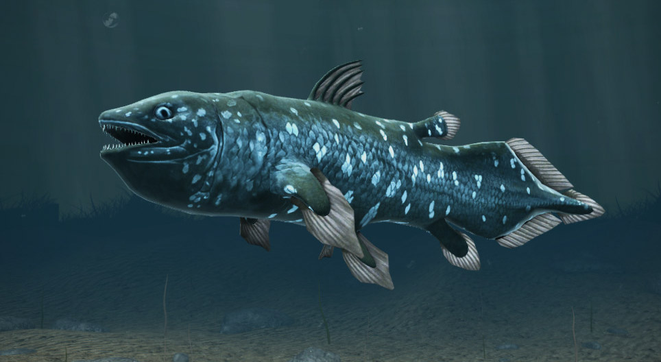 Celakant