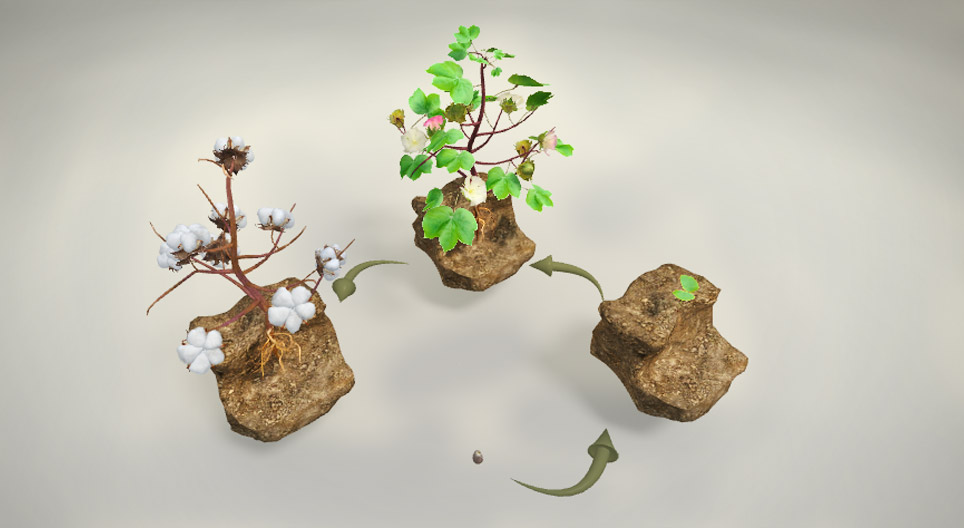 Od čega se proizvodi pamuk?