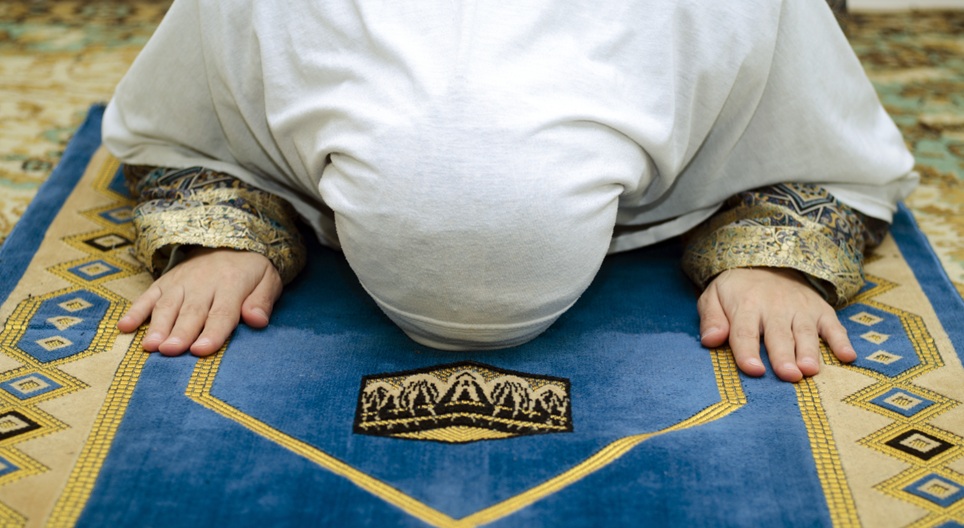 Obrazovni video-snimci