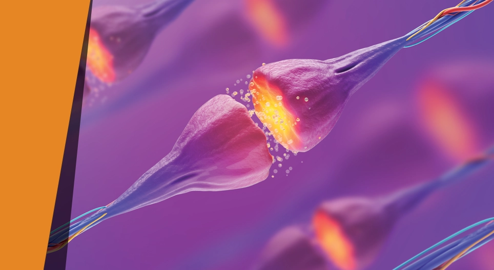 Försvinnande smaker