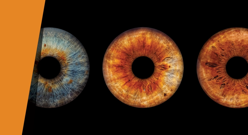 ซูมเข้า