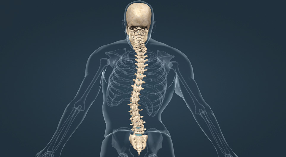 Medical conditions of the spine