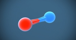 Азотын дан исэл (NO)