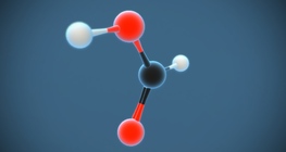 Шоргоолжны хүчил (метанойн хүчил) (HCOOH)