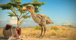 Титанис- ''аюулт шувуу''