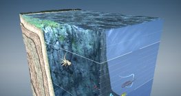 Далайн давхаргууд