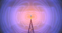 Долгионы төрлүүд