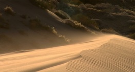 Tamo gdje sva voda nestaje - Pustinja