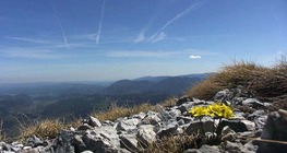 A hegyvidékek övezetessége