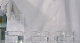 Folyadékok felületi feszültsége