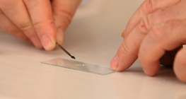 Sampling a potato by scratching