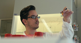 Harc az agyak megszerzéséért