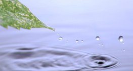 Površinska napetost vode