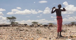 Természeti népek Afrikában - Nomádok