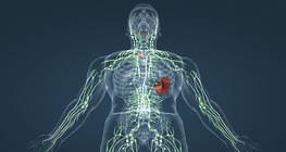 Тунгалгийн систем