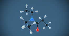 N,N хоёр этилт пропаны амид (C₇H₁₅NO)