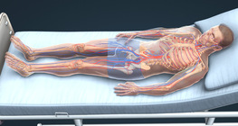 Гүнийн венийн судасны тромбоз болон уушигны эмбол