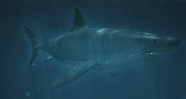 Аварга загас