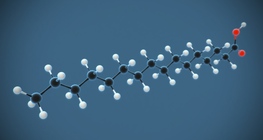 Пальмитиний хүчил (C₁₅H₃₁COOH)