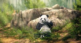 Аварга панда